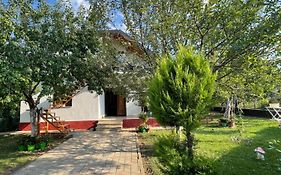 Riza Guest House
